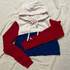 Hollister Cropped Hoodie (M)